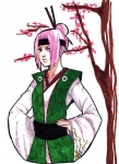 Sakura Assassin